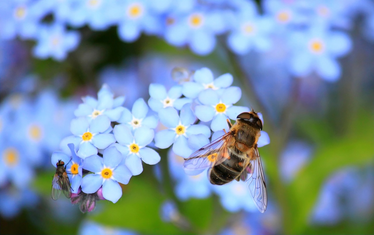 Get Buzzy: Bee Crafts for Kids